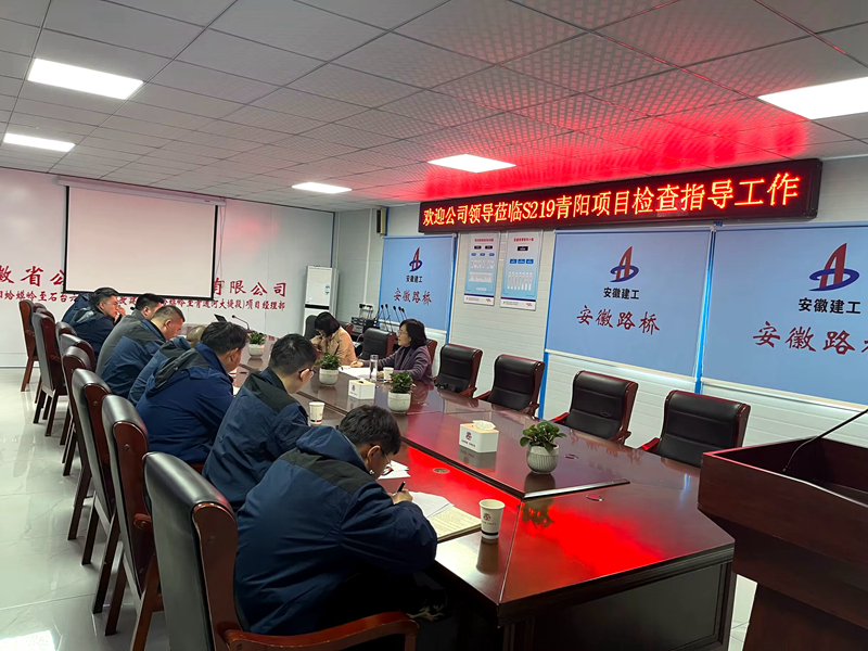 公司黨委委員、紀(jì)委書(shū)記王鵬到S219青陽(yáng)改建項(xiàng)目調(diào)研指導(dǎo)工作